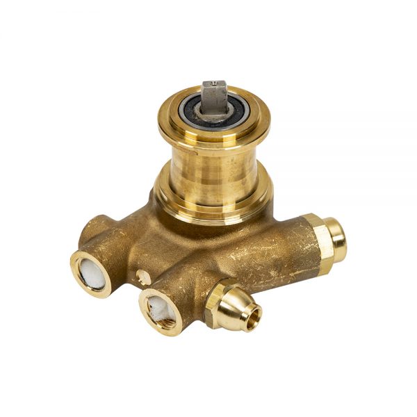 PA301X250 Brass Procon Pump